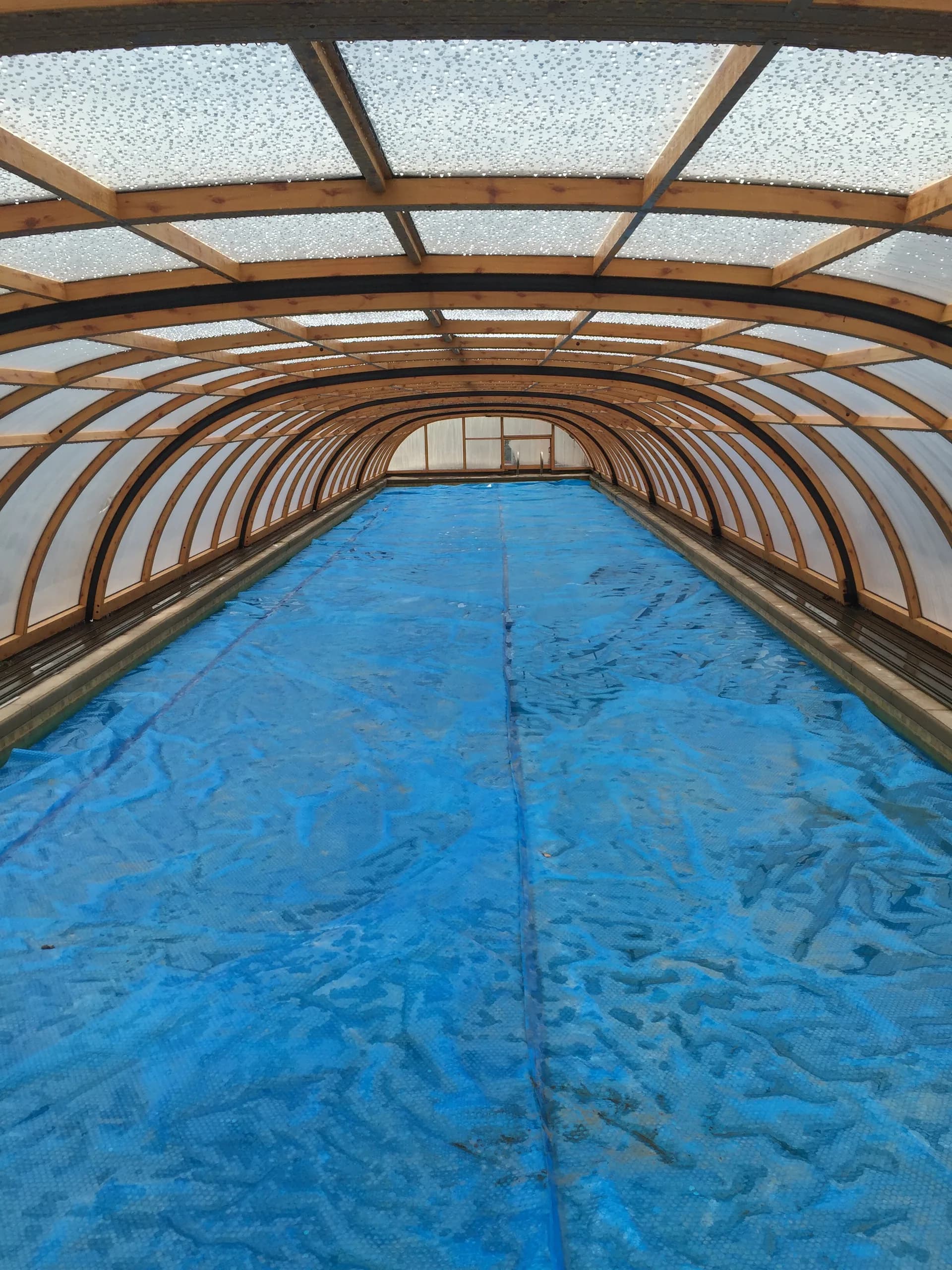 swim cove pool feature custom gunite design boise idaho hdt custom pool builders boise — HDT Custom Pool Builders Boise